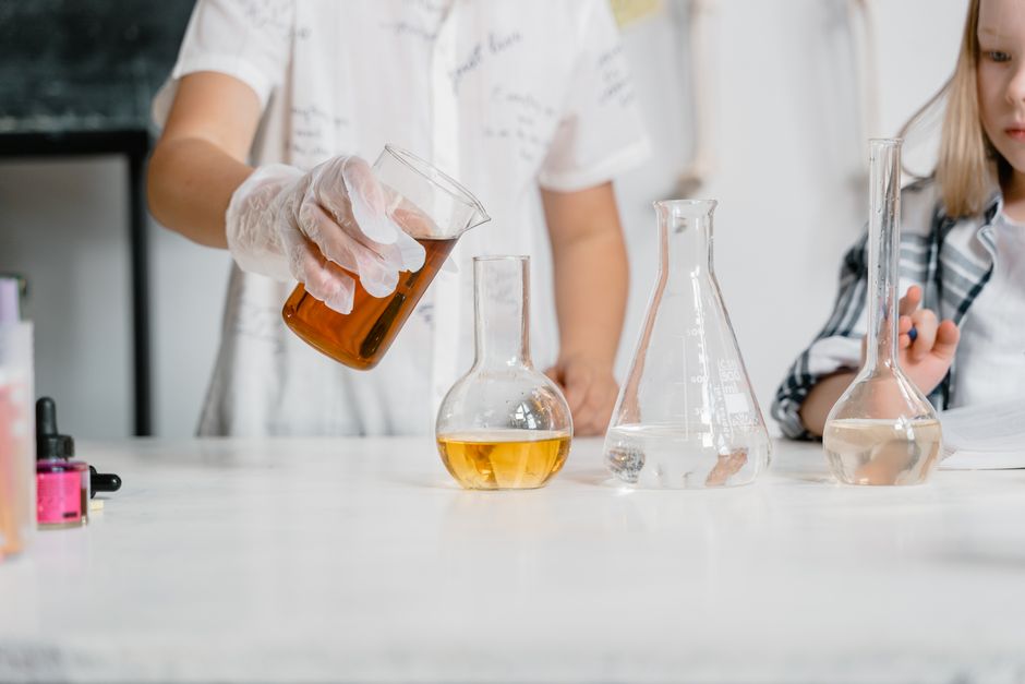 Is the Indigo Research Program Worth it?